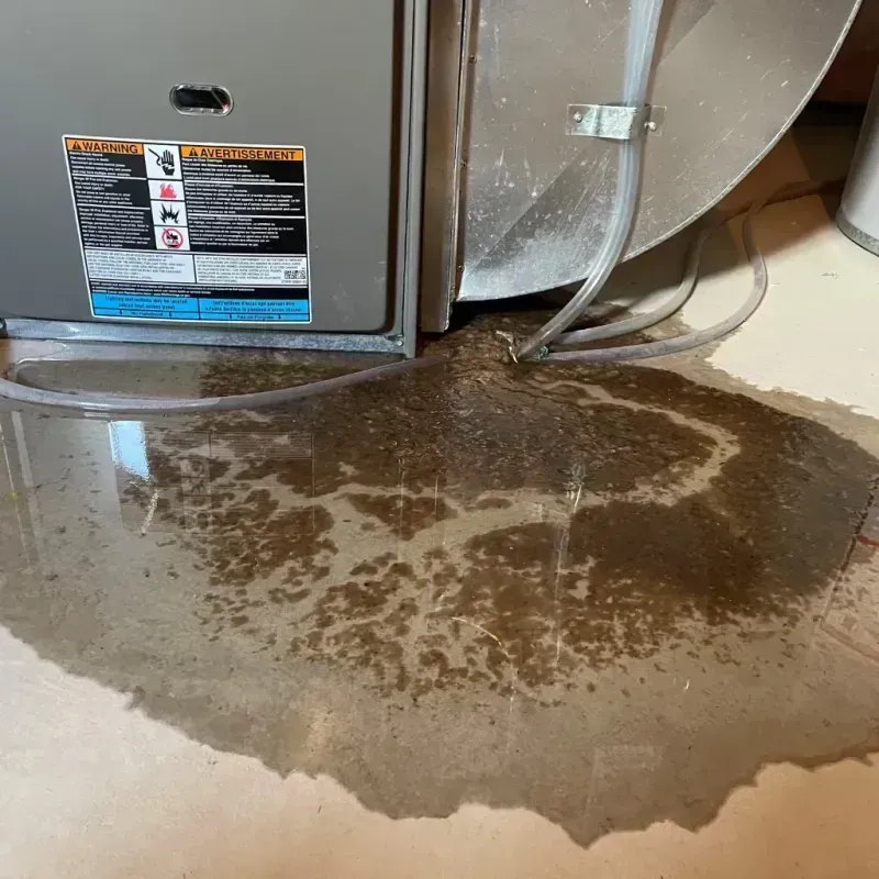 Appliance Leak Cleanup in Lakehurst, NJ